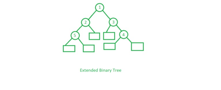 Extended Binary Tree In Hindi 