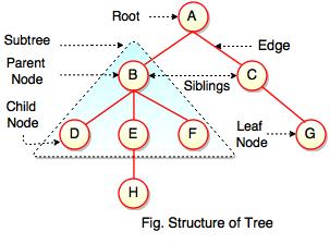Tree In Data Structure In Hindi 