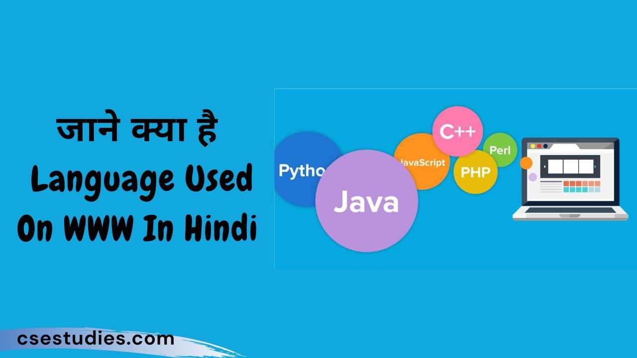 Language Used On WWW In Hindi