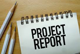 Content Of Project Report In Hindi