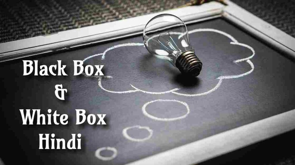 Black Box And White Box Testing In Hindi